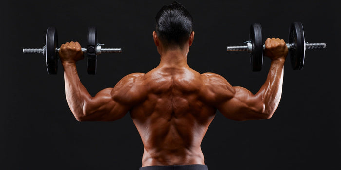 Gespierde man doet een dumbbell schouder press tegen een zwarte achtergrond, gezien vanaf de rug.